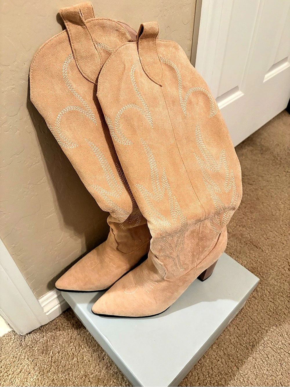 Women's Heeled Suede Boots